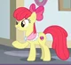 Apple Bloom