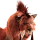 Red XIII