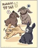 TF141 rabbits