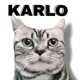 karlo