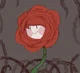 Rosey the Rose