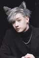 Bang Chan husband 