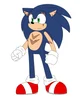 Multiverse Sonic 