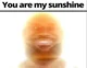 You Are My Sunshine 