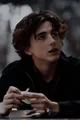 Regulus Black 
