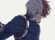 Shoto Todoroki 