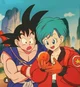 Adult goku and bulma