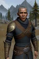 Skyrim Obama