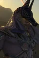 ARCH Anubis