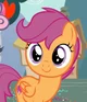 Scootaloo