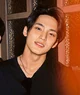 Kim Mingyu 