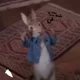 Peter Rabbit RPG