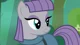 MLP - Maud Pie