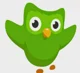 Duolingo Bird