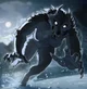 Female Werewolf