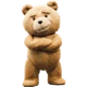 Ted