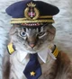 WW2 Americat Leader