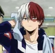 Shoto Todoroki