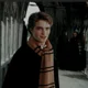Cedric Diggory