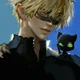 Chat Noir 