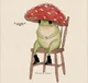 Mushroom frog