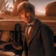 newt scamander