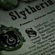 The Slytherins