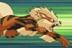 Arcanine