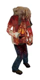 Half Life Zombie