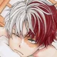 Shoto Todoroki