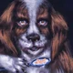 Dog With Spoon
