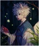 Killua The Kitsune