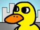 The duck