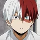 Shoto Todoroki