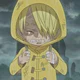 Sanji kid