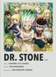 Dr Stone