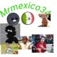 Mrmexico34