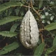 Transform cocoon