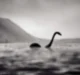 Nessie 