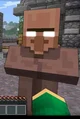Blind Villager 