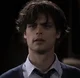 spencer reid