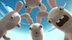 Rabbits