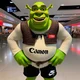 Shrek Canon Nike