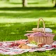 Picnic Il Dottore