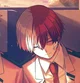 Todoroki Shoto 