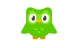 duolingo