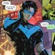 SOULMATE Nightwing