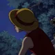 Monkey D Luffy