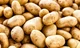 Potato