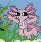 Shelly Axolotly
